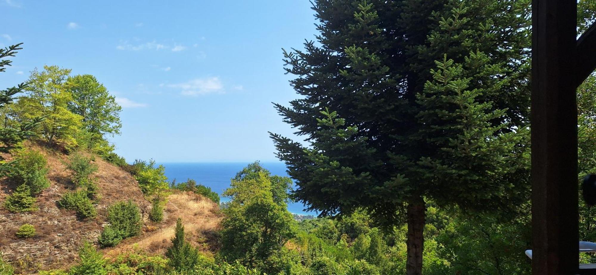 Kastania Gi Daire Palaios Panteleimonas Dış mekan fotoğraf